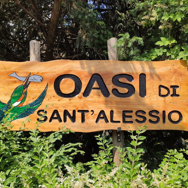 Oasi di Sant’Alessio con Vialone (PV)