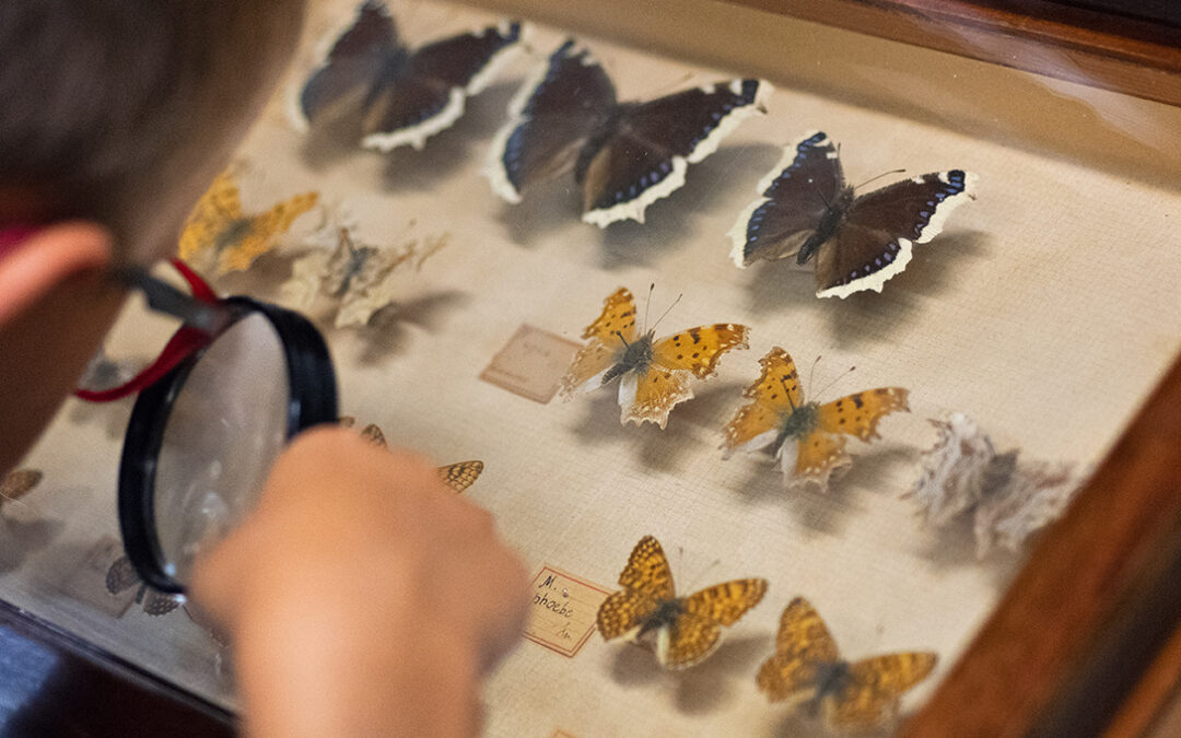 Museo di Storia Naturale di Genova