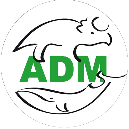 ADM