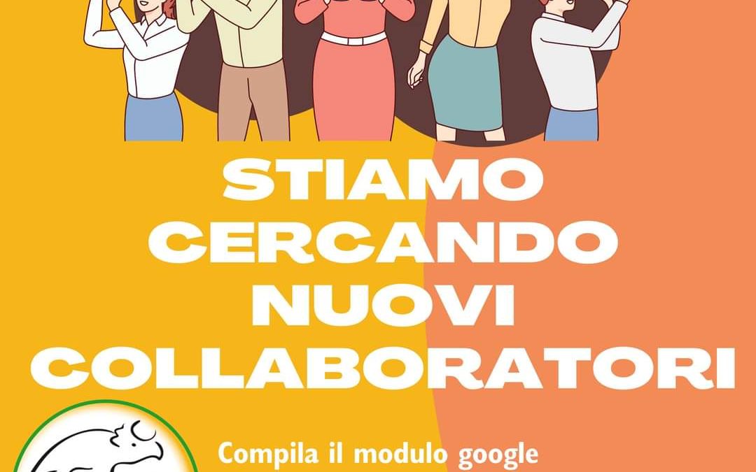 Cercasi collaboratori