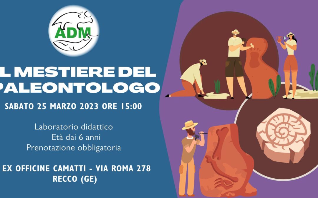 Il mestiere del paleontologo