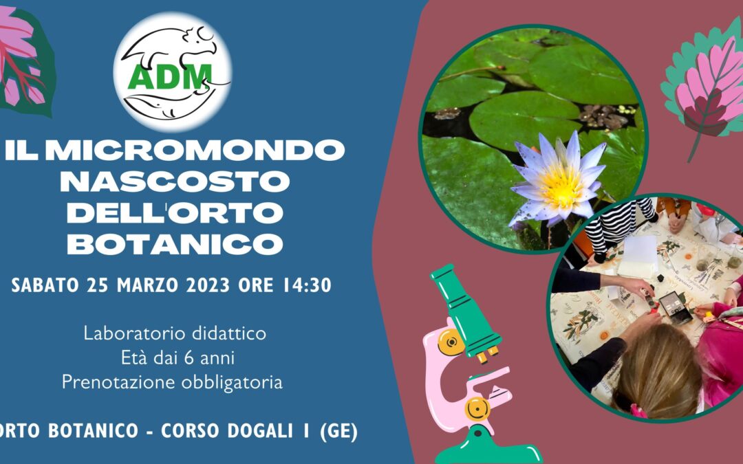 Il micromondo nascosto dell’Orto Botanico