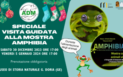 Speciali visite guidate alla mostra “Amphibia”